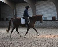 Olaf en Whatever in actie Olaf en Whatever in actie